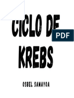 Ciclo de Krebs