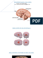 Neurociencias II - Talamo