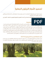 Fertilization of Rainfed Olive Trees