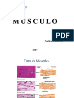 Musculo Fisiologia Celular
