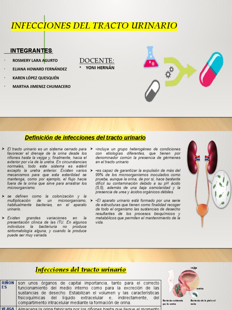Infecciones Del Tracto Urinario Pdf Sistema Urinario Vejiga Urinaria