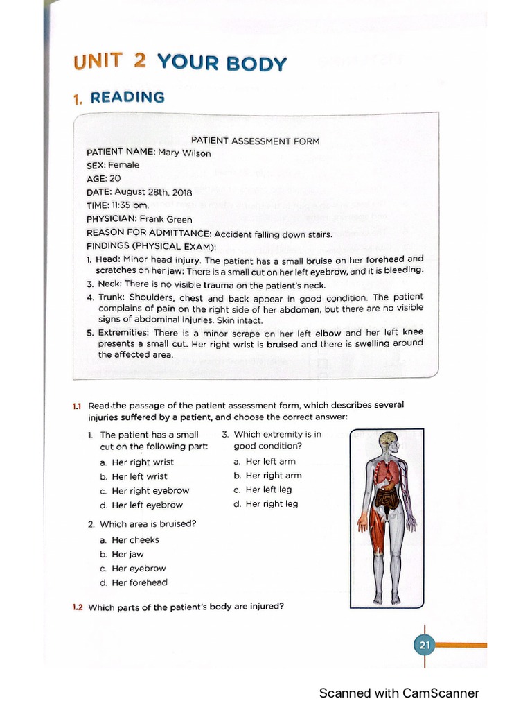 Your Body | PDF