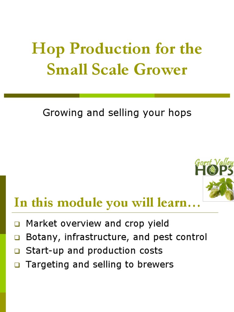 Hop Growing for Small Scale Producers | PDF | Hops | Brewing