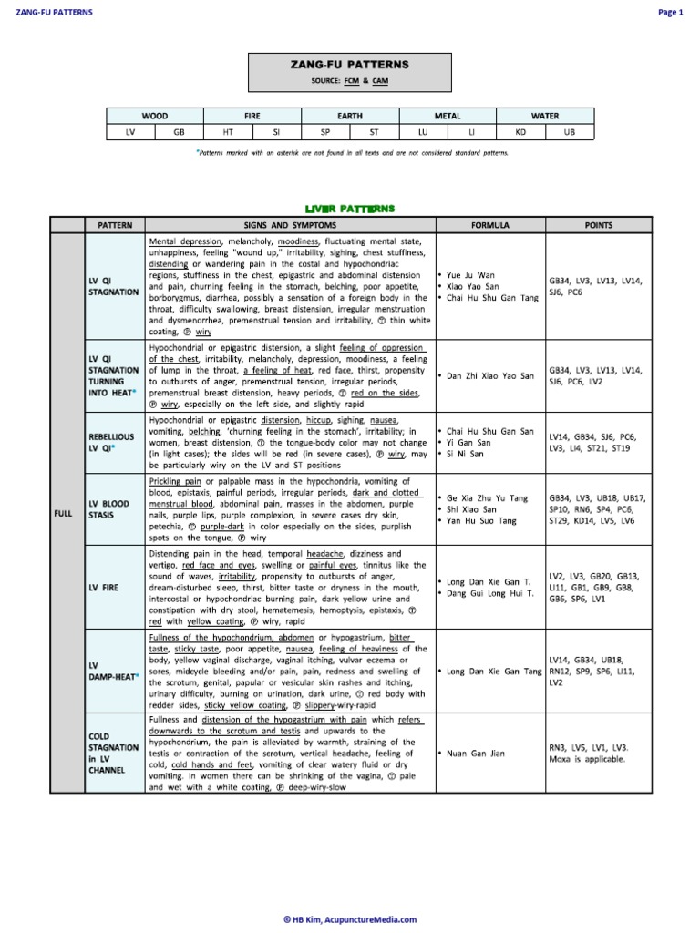 F Zang Fu Patterns Hbkim Print | PDF | Self-Improvement