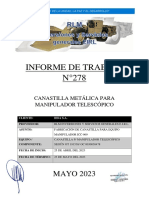 Informe - Canastilla Metálica (RLM)