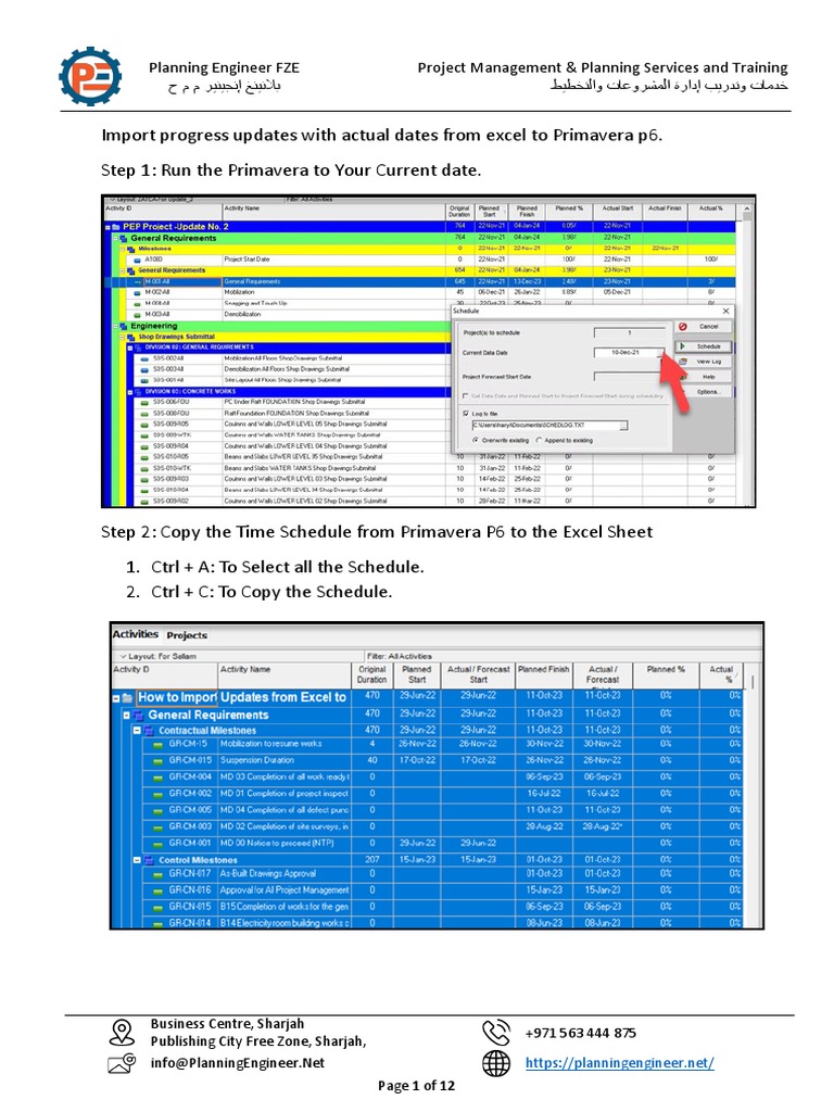 Importing Progress Updates to P6 | PDF | Microsoft Excel | Software ...