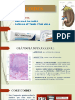 CELESTONE PEDIATRICO - tcm5528-941290 | PDF | Corticosteroides ...