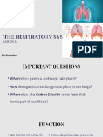 Respiratory System Lesson 1 Final