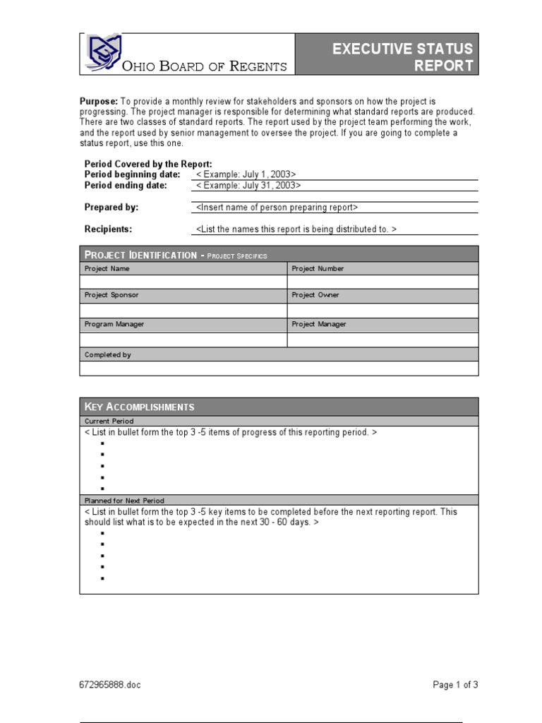 Monthly Executive Status Report | PDF | Finance & Money Management
