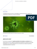 Virus - Qué Son, Sus Características y Su Clasificación