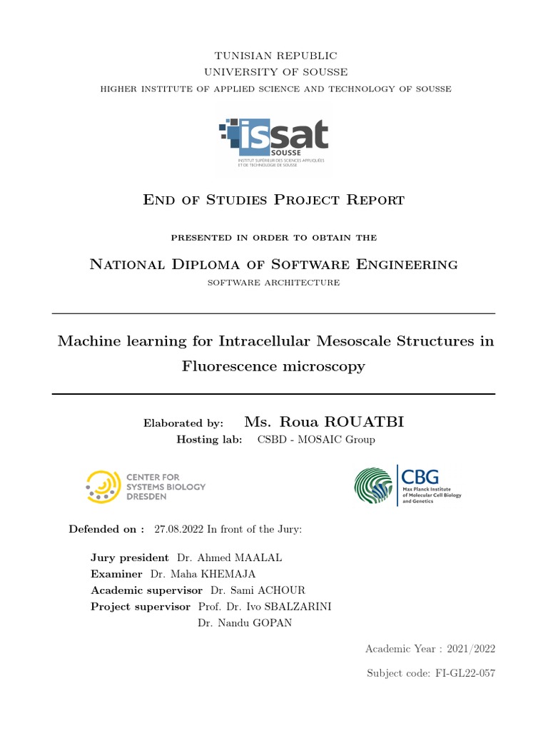 Rapport Pfe | PDF | Machine Learning