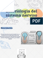 Presentacion Embriologia Sistema Nervioso