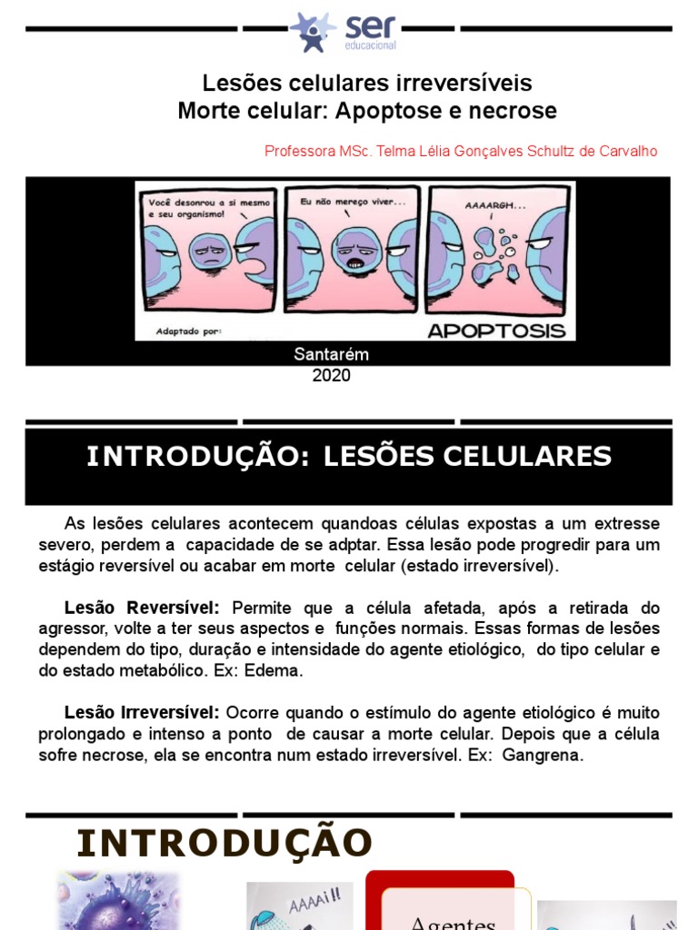 Tipos e Mecanismos da Necrose Celular | PDF | Apoptose | Necrose