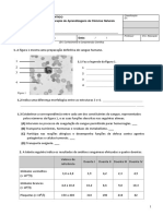 Ficha Formativa - Sangue e Sistema Cardiovascular