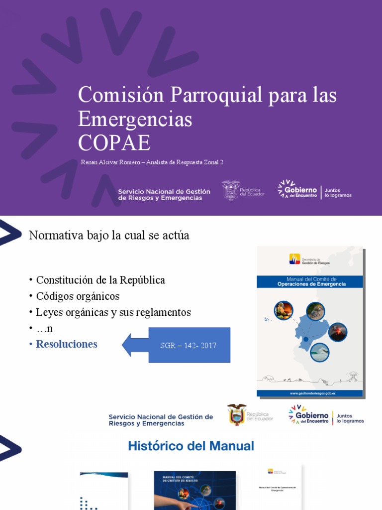 Estructura y Funciones de la COPAE | PDF | Gobierno