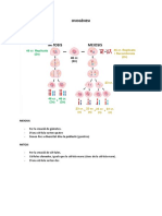 Tema 18. Sistema Reproductor