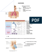 Tema 16. Iii. Anatomia Pulmonar