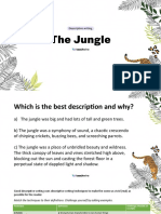 Descriptive Writing - The Jungle