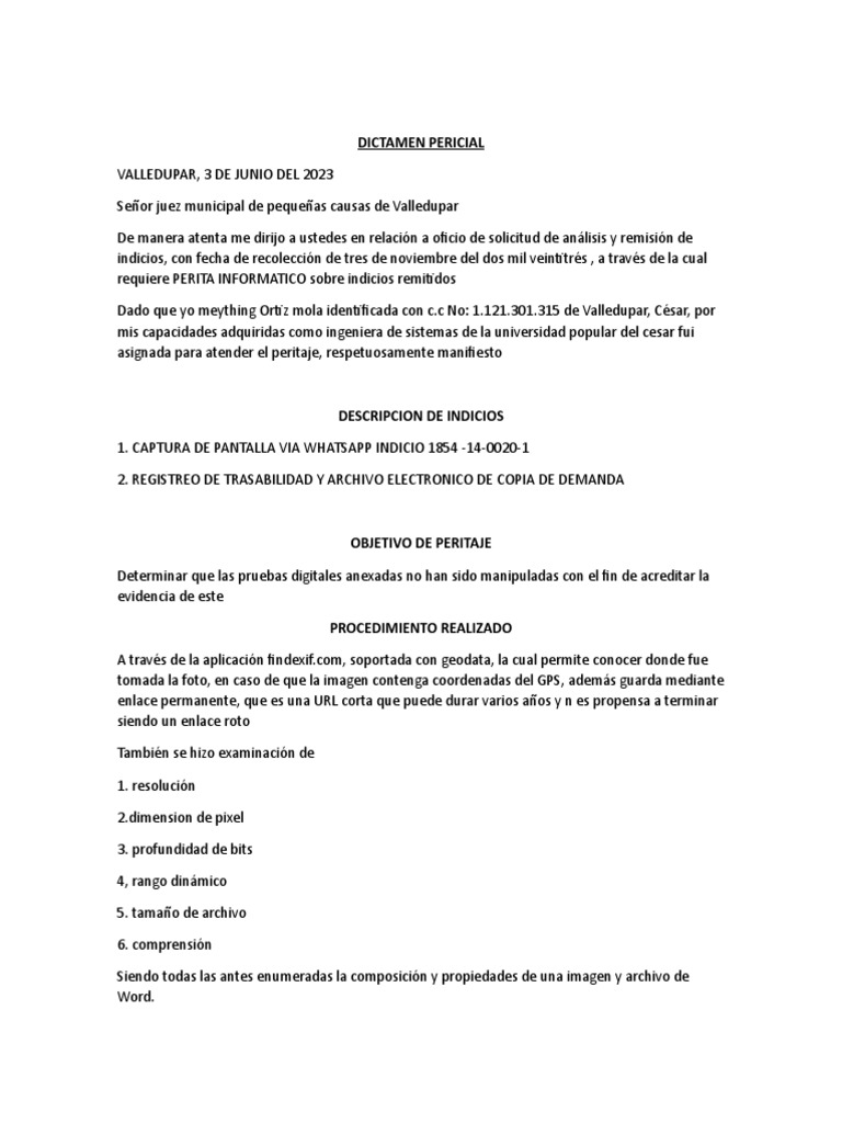 Peritaje Informático: Análisis de Evidencias | PDF | Derecho