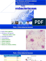 Enterobacteriacea - Gonzalez - Nuevo-1