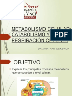 2 Metabolismo Catabolismo