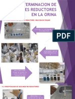 Determinacion de Azucares Reductores en La Orina