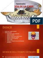 Huesos de La Cara PDF