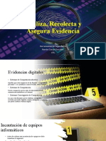 Analiza, Recolecta y Asegura Evidencia HDS