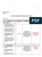 Aud - Info 320 InformePreliminar