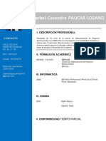Marbel Casandra Paucar Lozano: I. Descripción Profesional