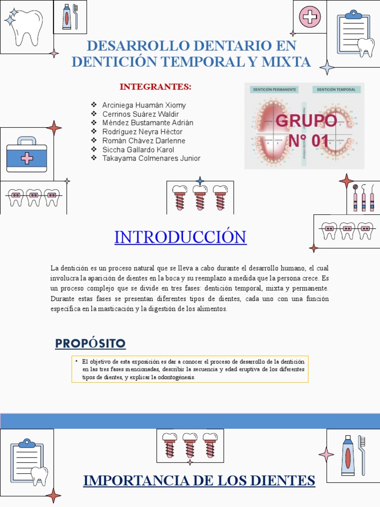 DESARROLLO DENTARIO EN DENTICIÓN TEMPORAL Y MIXTA 3 | PDF | Diente ...