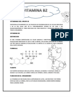 Vitamina b2 - Paola Chicaiza