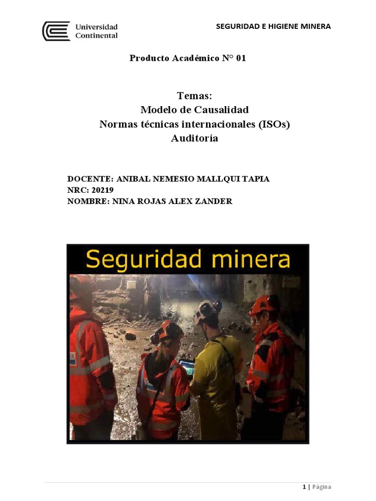 Consolidado - 01 - Nina - Rojas - Alex - Seguridad - e - Higiene ...