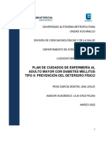 Plan de Cuidados de Enfermería Al Adulto Mayor Con Diabetes Mellitus Tipo Ii: Prevención Del Deterioro Físico