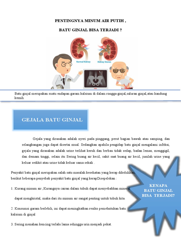 Apakah Remaja Bisa Terkena Batu Ginjal? Ini Penjelasannya, Dr. Mega Anara Manurung