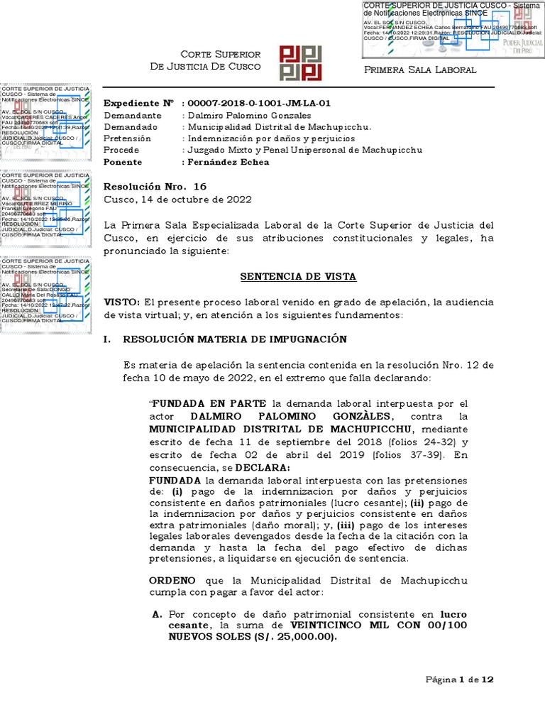 Sentencia de Vista Caso Dalmiro Palomino | PDF | Sentencia (ley