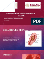 Desarrollo Fetal Amatan.