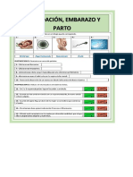 Fecundacion, Embarazo y Parto