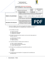 Prueba Sumativa Ciencias 1basico