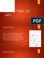 Estructura Del Arn