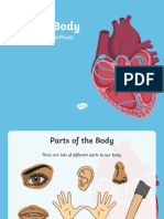 Human Body Information Powerpoint