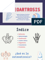 Osteoartrosis