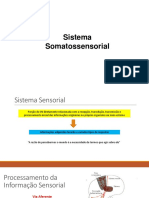 Sistema Somatossensorial - Tato, Dor e Temperatura