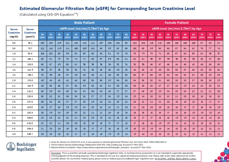 Egfr Chart Download Free PDF Clinical Medicine Physiology