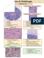 Atlas de Histología