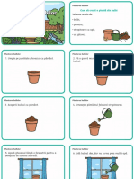 Ds 106 Plantarea Bulbilor - Activitate Practic - Ver - 2