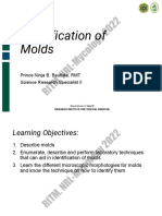 Laboratory Identification of Molds