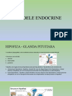 cap. 4 - Glandele endocrine