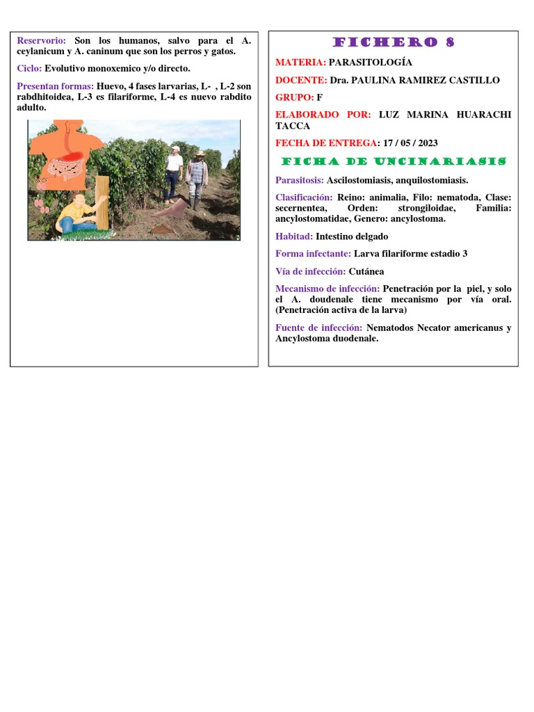 Fichero 8 | PDF
