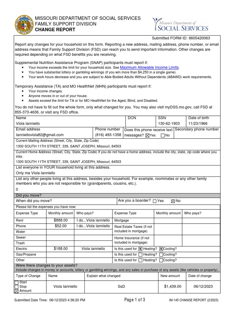 Missouri FSD Change Report Instructions | PDF | Child Support ...